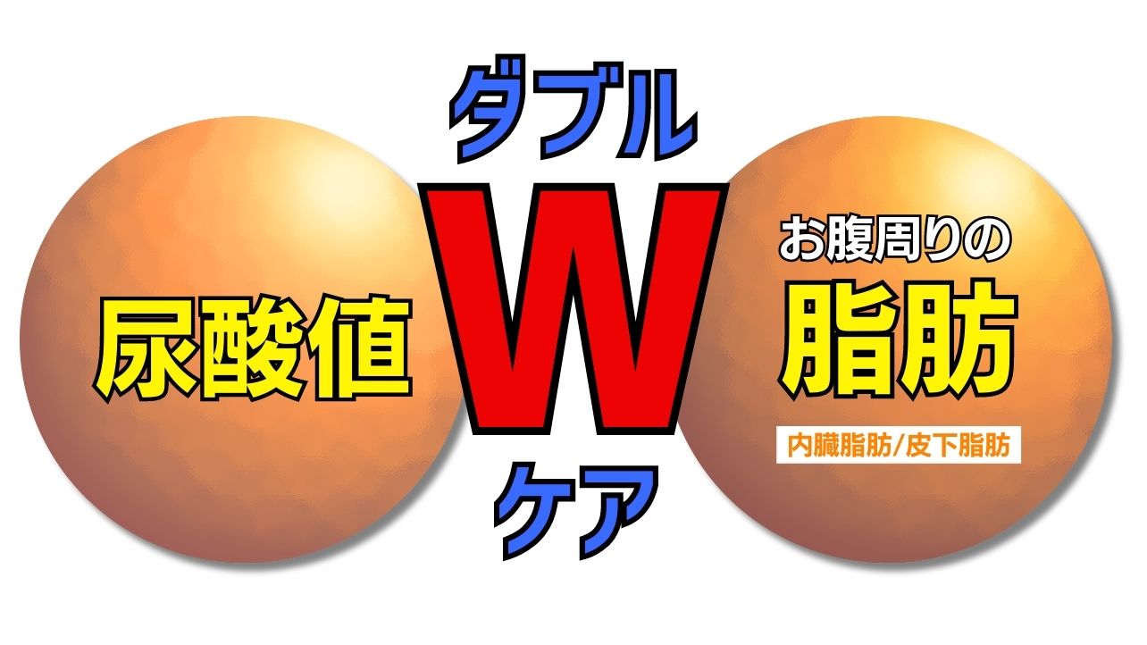 ダブルバスターは尿酸値とお腹周りの脂肪(内臓脂肪・皮下脂肪)をWケア